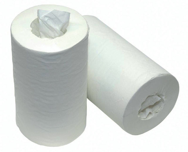 Poetsrol Cleaninq mini 1laags 215x140mm 120m 11