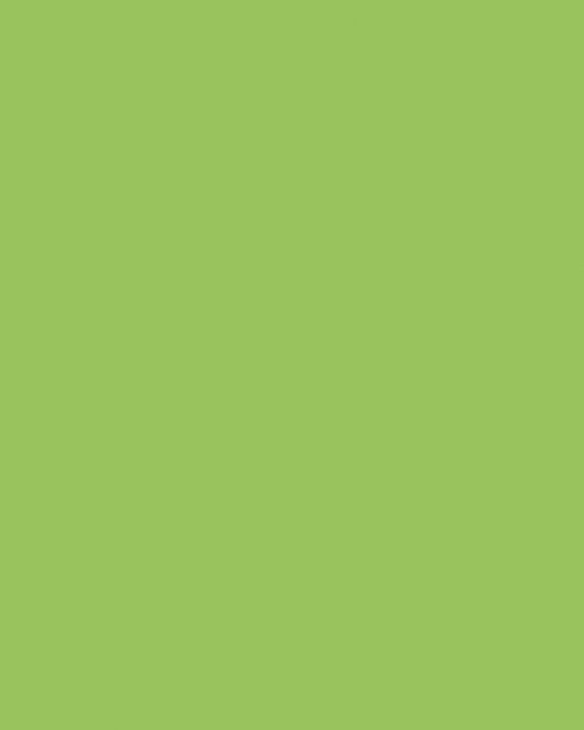 Etalagekarton Folia 1z 48x68cm 380gr nr941 fl gn