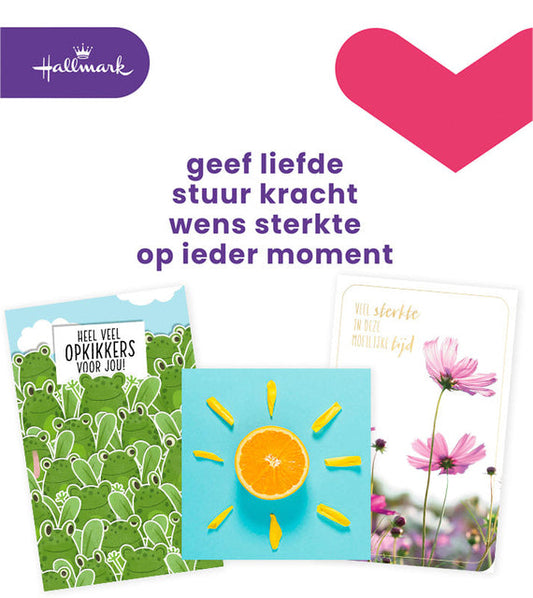 Wenskaart Hallmark navulset beterschap 12 stuks