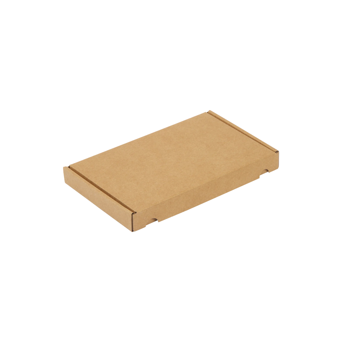 A5 brievenbusdoos 255x160x28 mm met klep