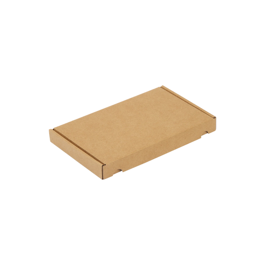 A5 brievenbusdoos 255 x 160 x 28 mm - met klep