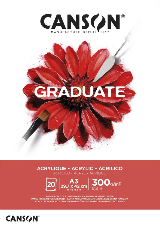 Schilderpapier Canson Graduate 20vel 290gr A3 wit