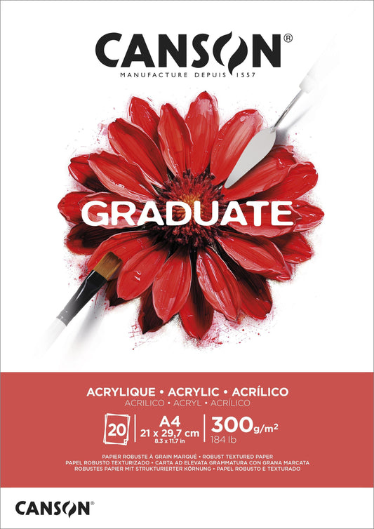 Schilderpapier Canson Graduate 20vel 290gr A4 wit