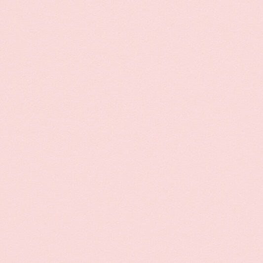 image/jpg