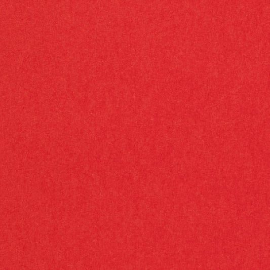 image/jpg